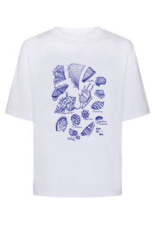 Australian Seashells Tee - White