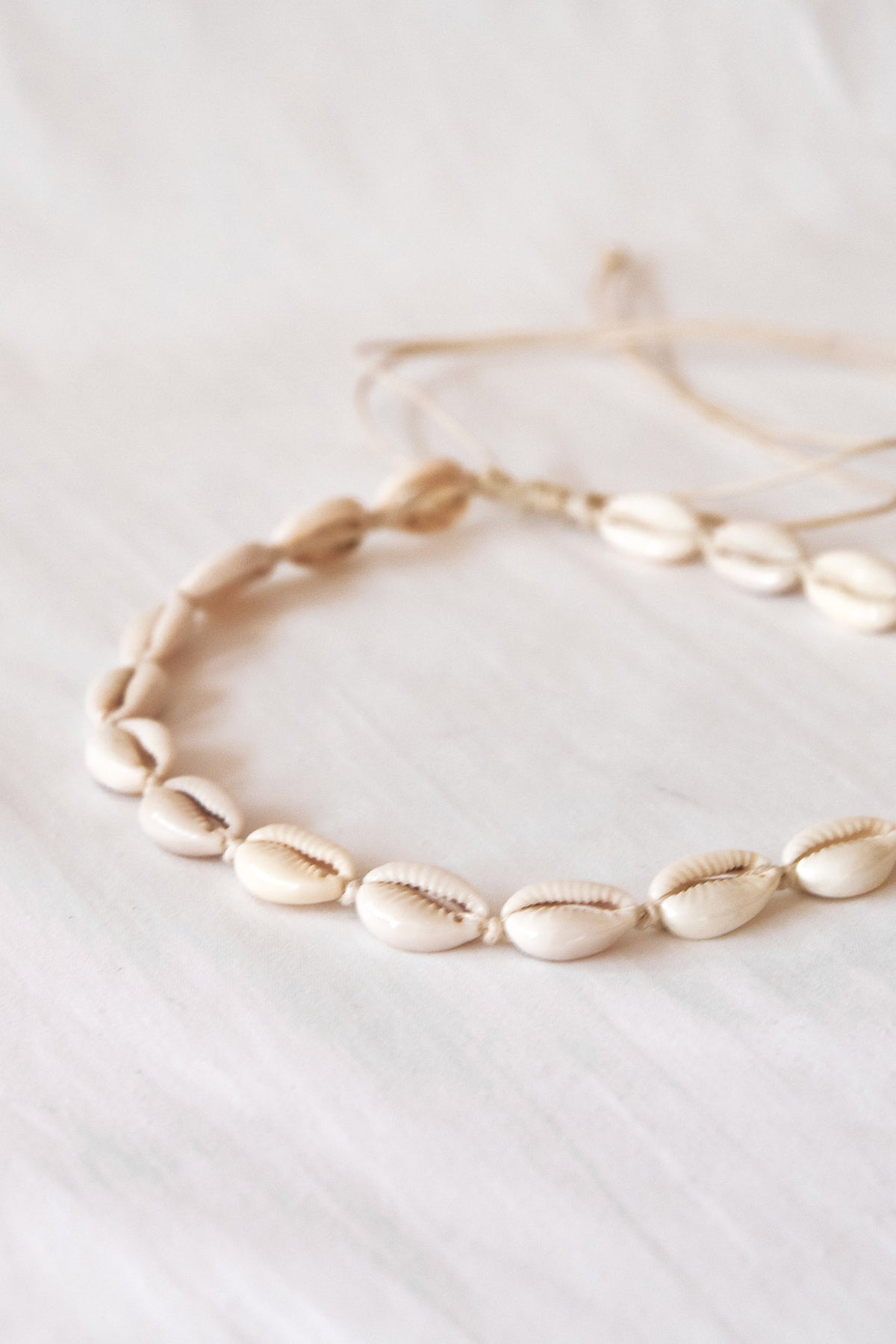 Cowrie Shell Choker Necklace